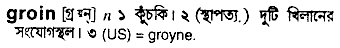 Groin meaning in bengali