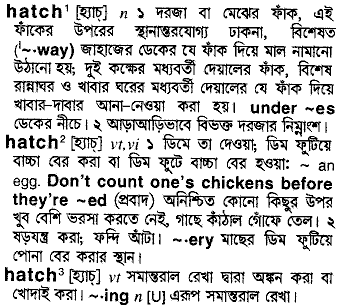 Hatch meaning in bengali