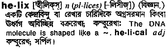 Helix meaning in bengali