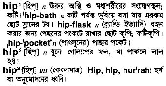 Hip meaning in bengali