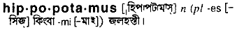 Hippopotamus meaning in bengali