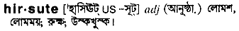 Hirsute meaning in bengali