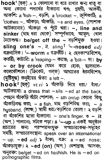 Hook meaning in bengali