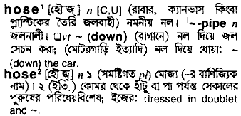 Hose meaning in bengali