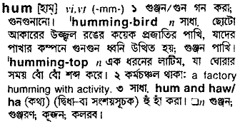 Hum meaning in bengali