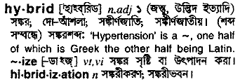 Hybrid meaning in bengali