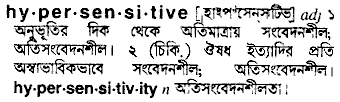 hypersensitive 
 meaning in bengali