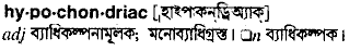 Hypochondriac meaning in bengali