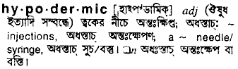 Hypodermic meaning in bengali