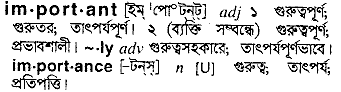 Important meaning in bengali