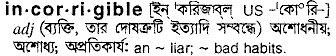 Incorrigible meaning in bengali