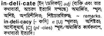 Indelicate meaning in bengali