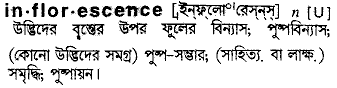 inflorescence 
 meaning in bengali