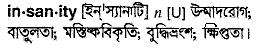 Insanity meaning in bengali