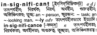 Insignificant meaning in bengali