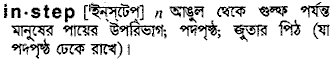 instep 
 meaning in bengali