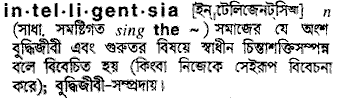 intelligentsia 
 meaning in bengali