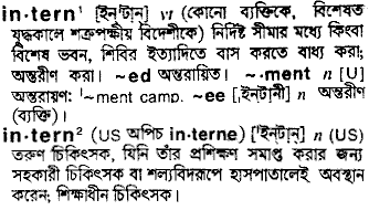 Intern meaning in bengali