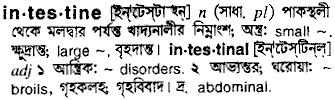 Intestine meaning in bengali