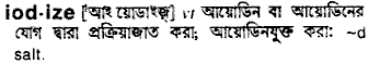 iodize 
 meaning in bengali