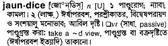 Jaundice meaning in bengali