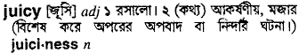 Juicy meaning in bengali