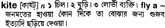 Kite meaning in bengali