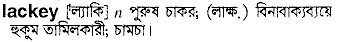 Lackey meaning in bengali