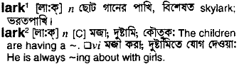 Lark meaning in bengali