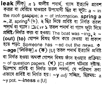 Leak meaning in bengali