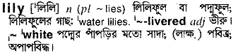 Lily meaning in bengali