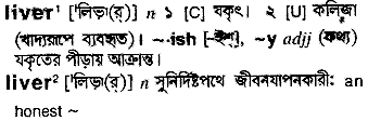 Liver meaning in bengali