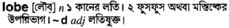 lobe 
 meaning in bengali