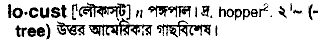 Locust meaning in bengali