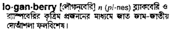 loganberry 
 meaning in bengali