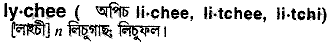 Lychee meaning in bengali