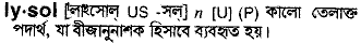 Lysol meaning in bengali