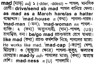 Mad meaning in bengali