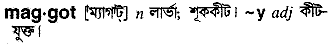 Maggot meaning in bengali