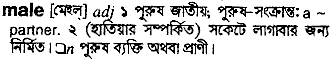 Male meaning in bengali