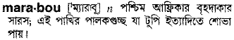 Marabou meaning in bengali