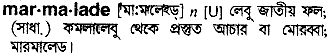 Marmalade meaning in bengali