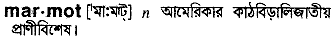 Marmot meaning in bengali