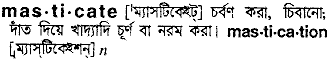 Masticate meaning in bengali