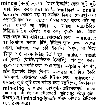 Mince meaning in bengali