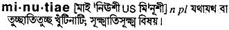 minutiae 
 meaning in bengali