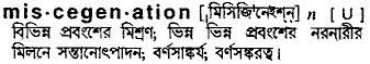 miscegenation 
 meaning in bengali