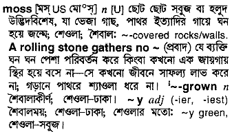 Moss meaning in bengali