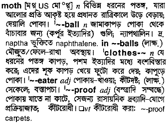 Moth meaning in bengali