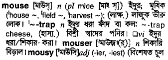 Mouse meaning in bengali